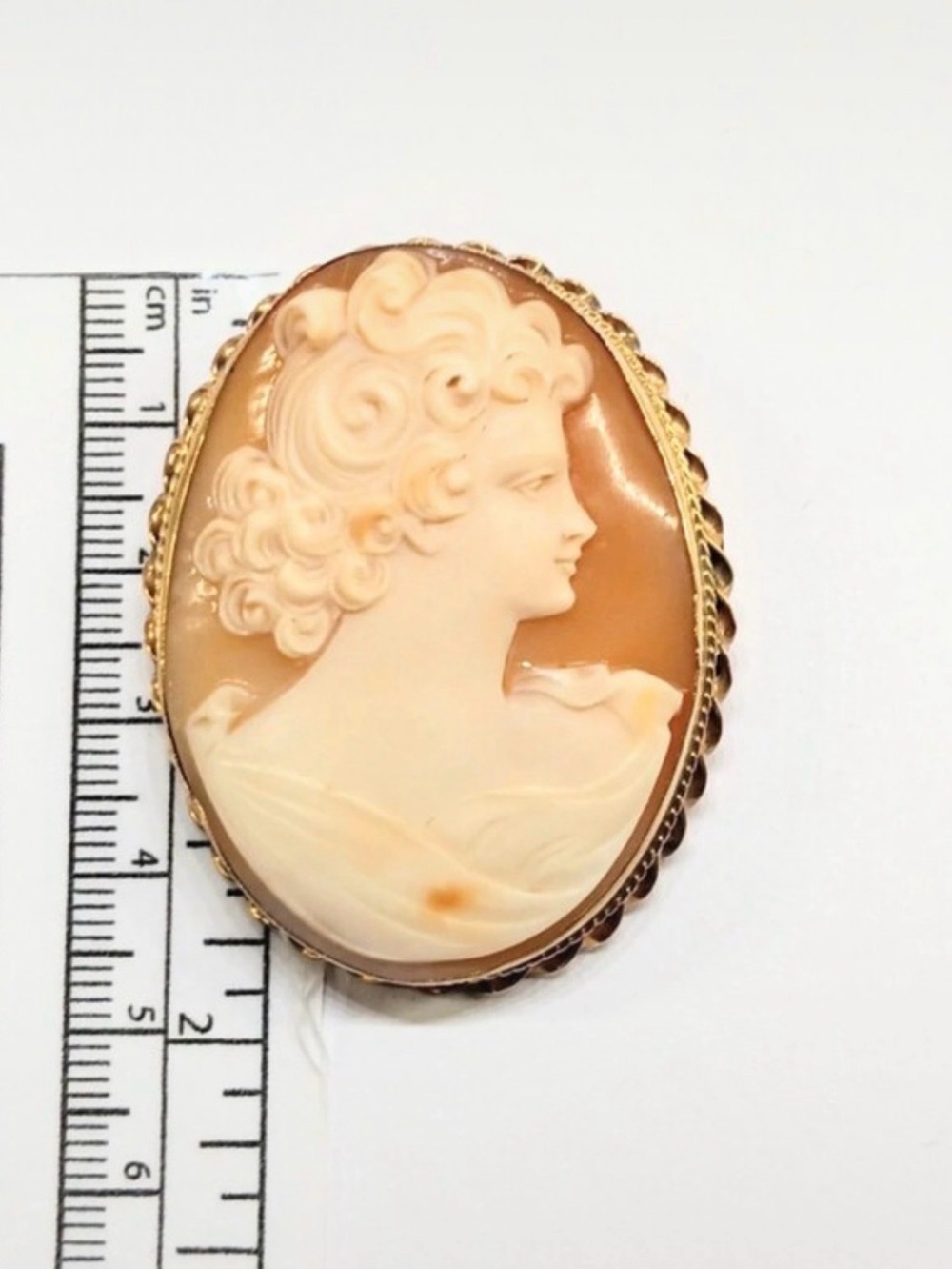 Classic Cream and Brown Cameo Brooch - Elegant Women's Jewelry 10k